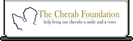 Sponsor Banner - The Cherab Foundation